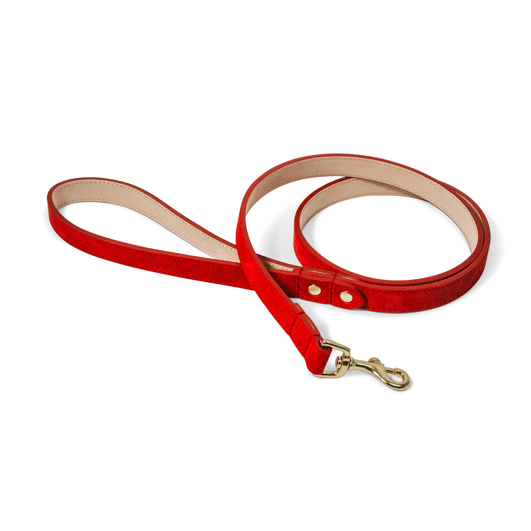 Red Leather Dog Lead