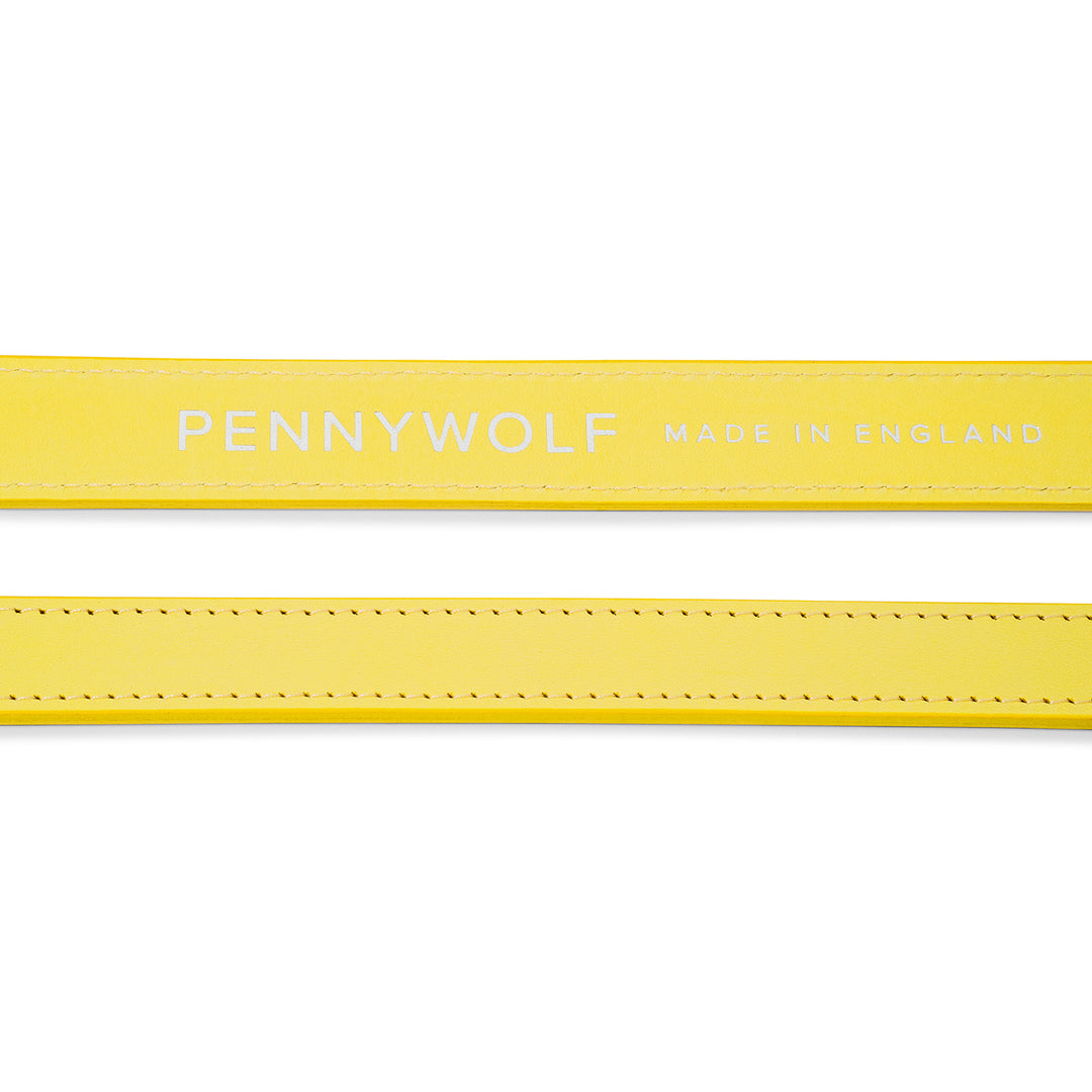 Yellow Leather Dog Leads