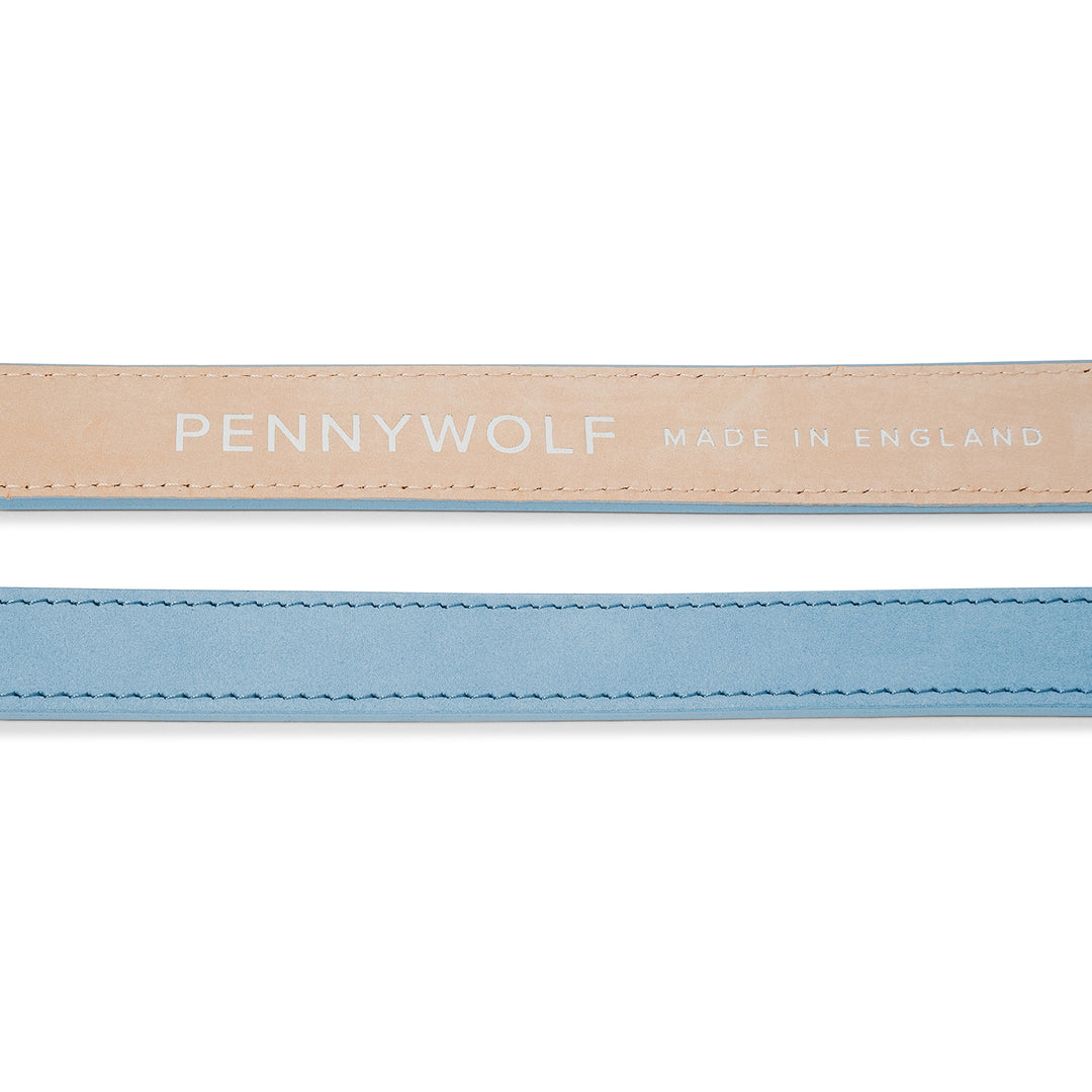 Blue Leather Dog Leads