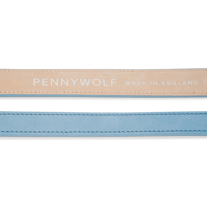 Blue Leather Dog Leads